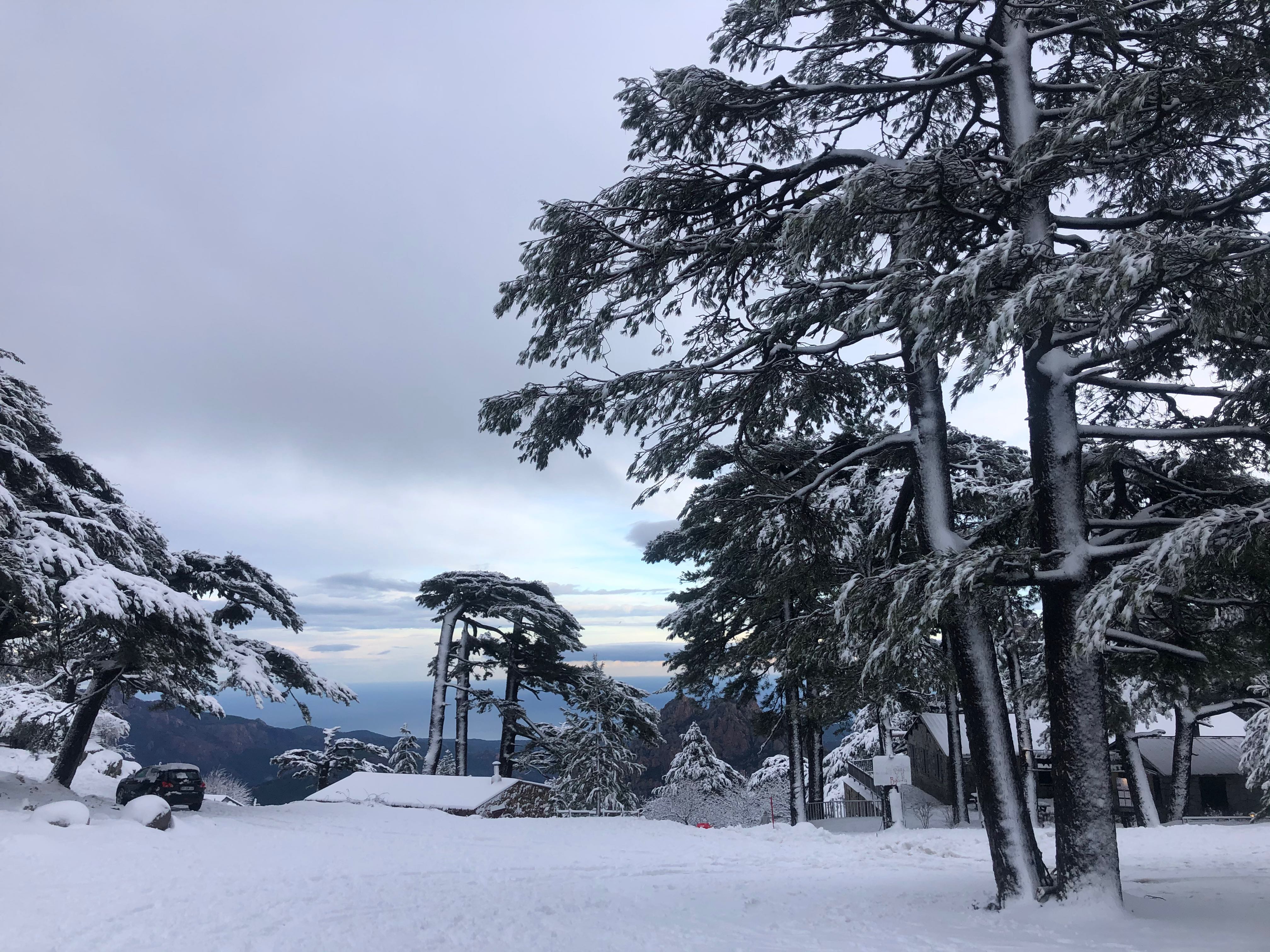 Entre Suisse et Corse&nbsp;!